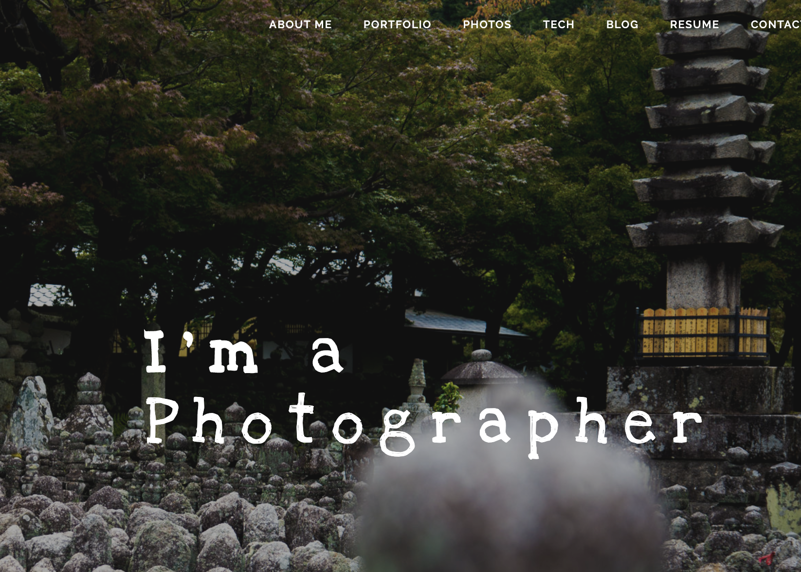 portfolio